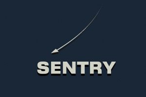 sentry