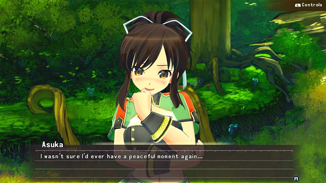 女忍反射:闪乱神乐 SENRAN KAGURA Reflexions截图