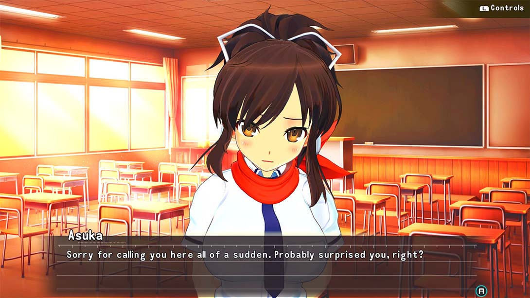 女忍反射:闪乱神乐 SENRAN KAGURA Reflexions截图