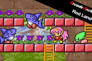 Arcade Archives Rod Land