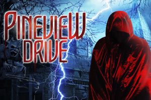 松景 无家可归 Pineview Drive