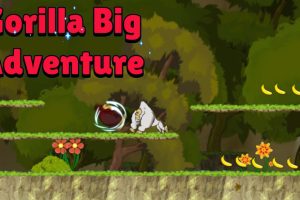 大猩猩大冒险 Gorilla Big Adventure