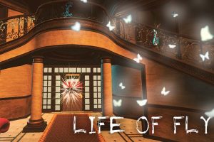 蝇的生活 Life of Fly