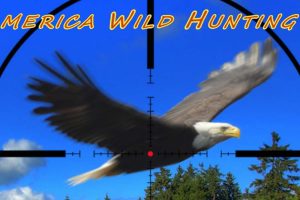 America Wild Hunting