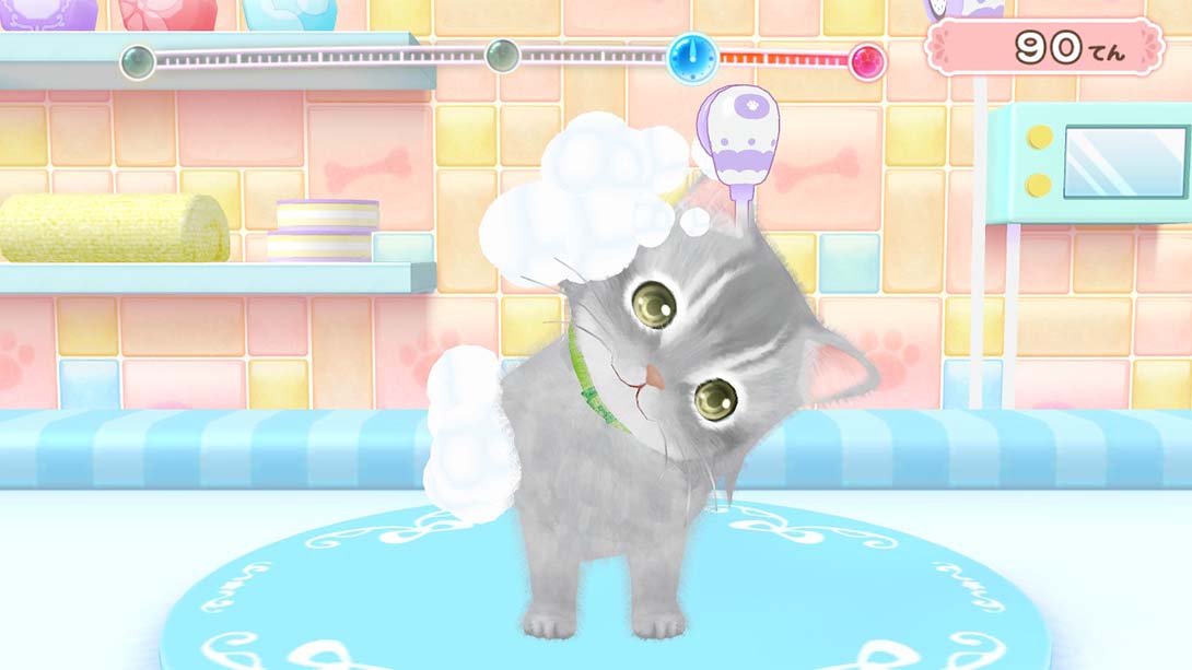 汪喵宠物店 与可爱宠物相伴的每一天 Wannyan Pet Shop Kawaii Pet...截图
