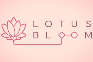 莲花盛开 Lotus Bloom
