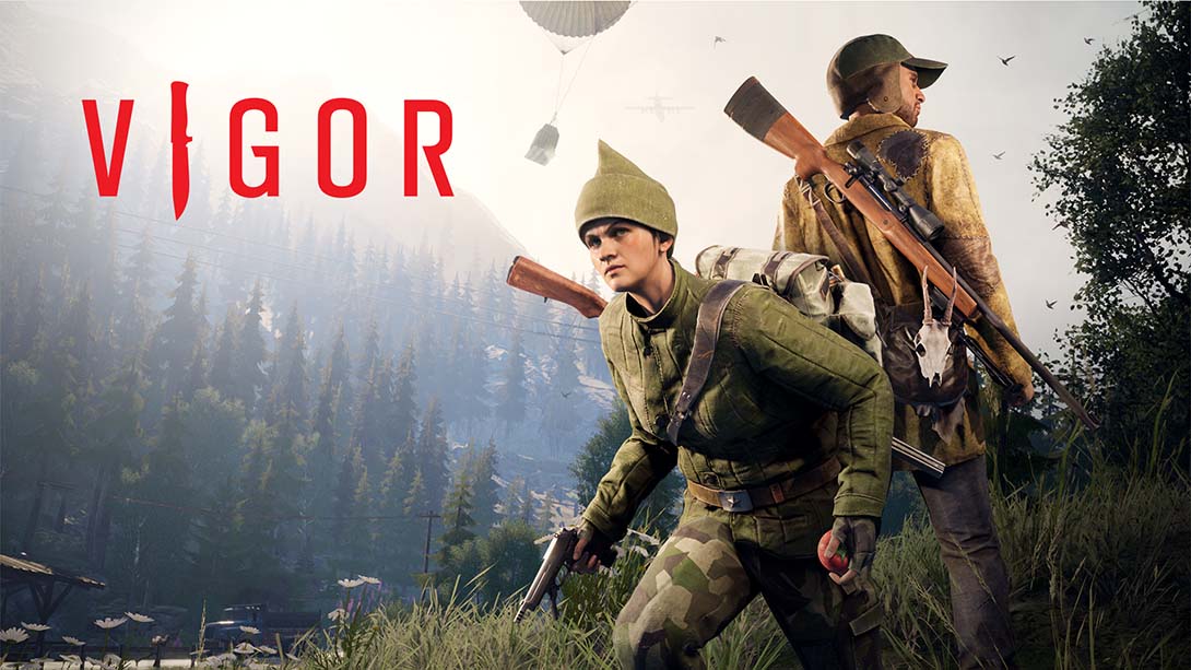维戈尔 Vigor