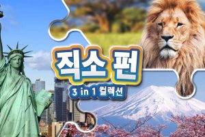 拼图游戏三合一系列 Jigsaw Fun 3-in-1 Collection