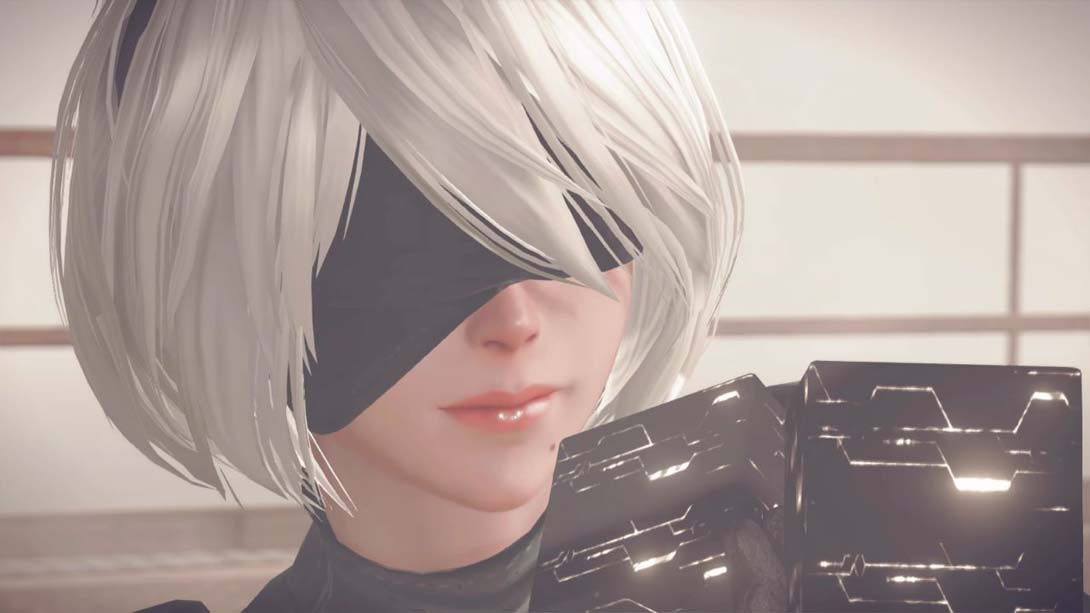 《尼尔：自动人形The End of YoRHa Edition》1.0.2截图