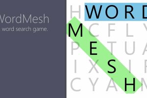 单词之网 .Word Mesh