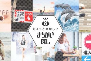 ちょっとおかしいまちがい探 Looking for funny mistakes