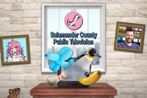 Salamander County Public Television