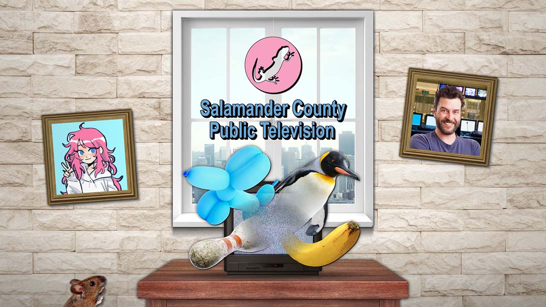 Salamander County Public Television