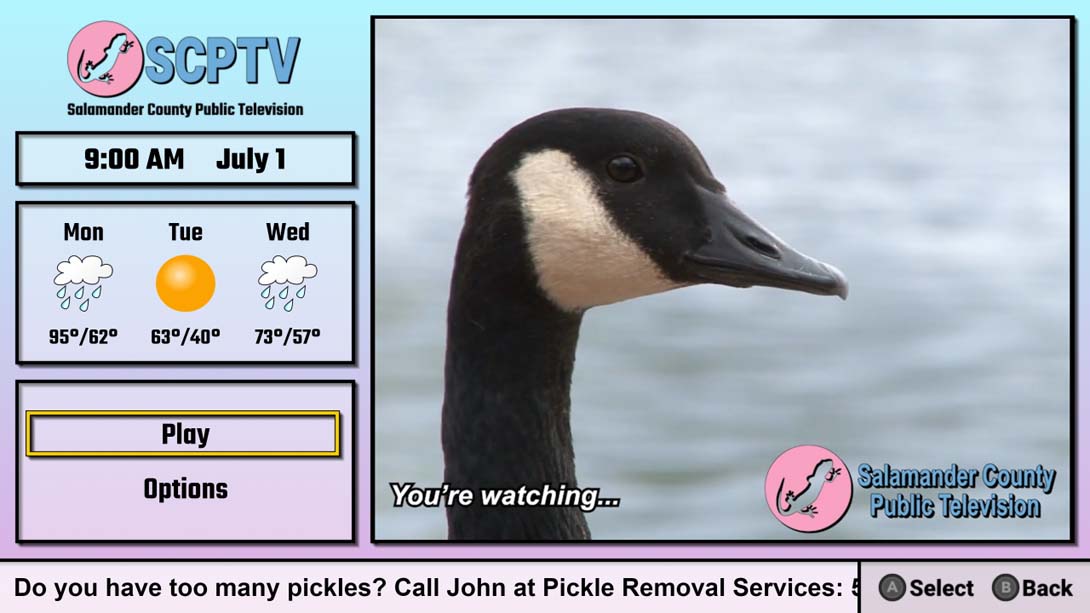 Salamander County Public Television截图