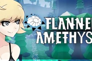 法兰绒紫水晶 Flannel Amethyst