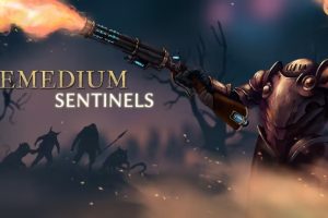 补救 哨兵 .REMEDIUM Sentinels