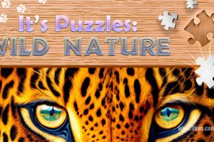 这是谜题:野性 It's Puzzles: Wild Nature