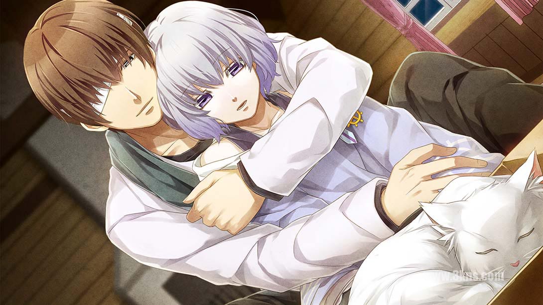 命运九重奏LAST ERA Norn9: Last Era截图
