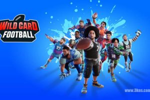 外卡橄榄球 .Wild Card Football