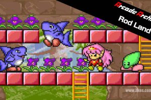 街机档案 罗德大陆 Arcade Archives Rod Land(1.0.1)金手指