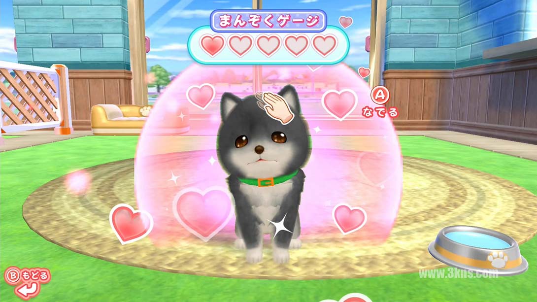 【日版】和狗一起玩!成为一名训狗师! .Play with dogs! Become a dog trainer!截图