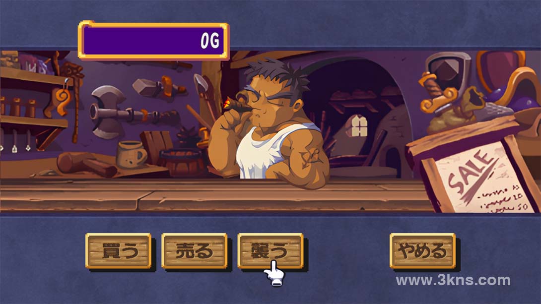 多卡波王國～怒之鐵劍～（1.0.1）金手指截图